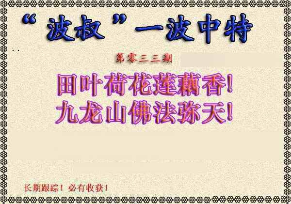033期波叔一波中特[图]