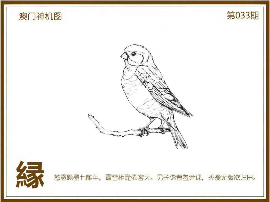 033期澳门神机图[图]